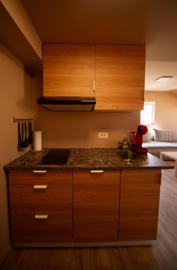 Sport Apartments Radovljica Ngoại thất bức ảnh
